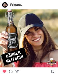 example 3 felsenau social media campaign project